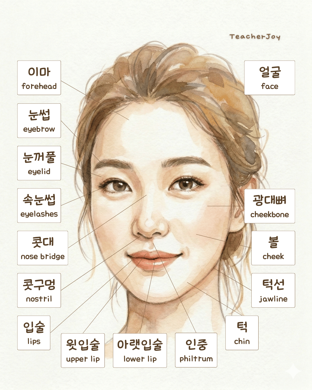 Face Vocab Breakdown