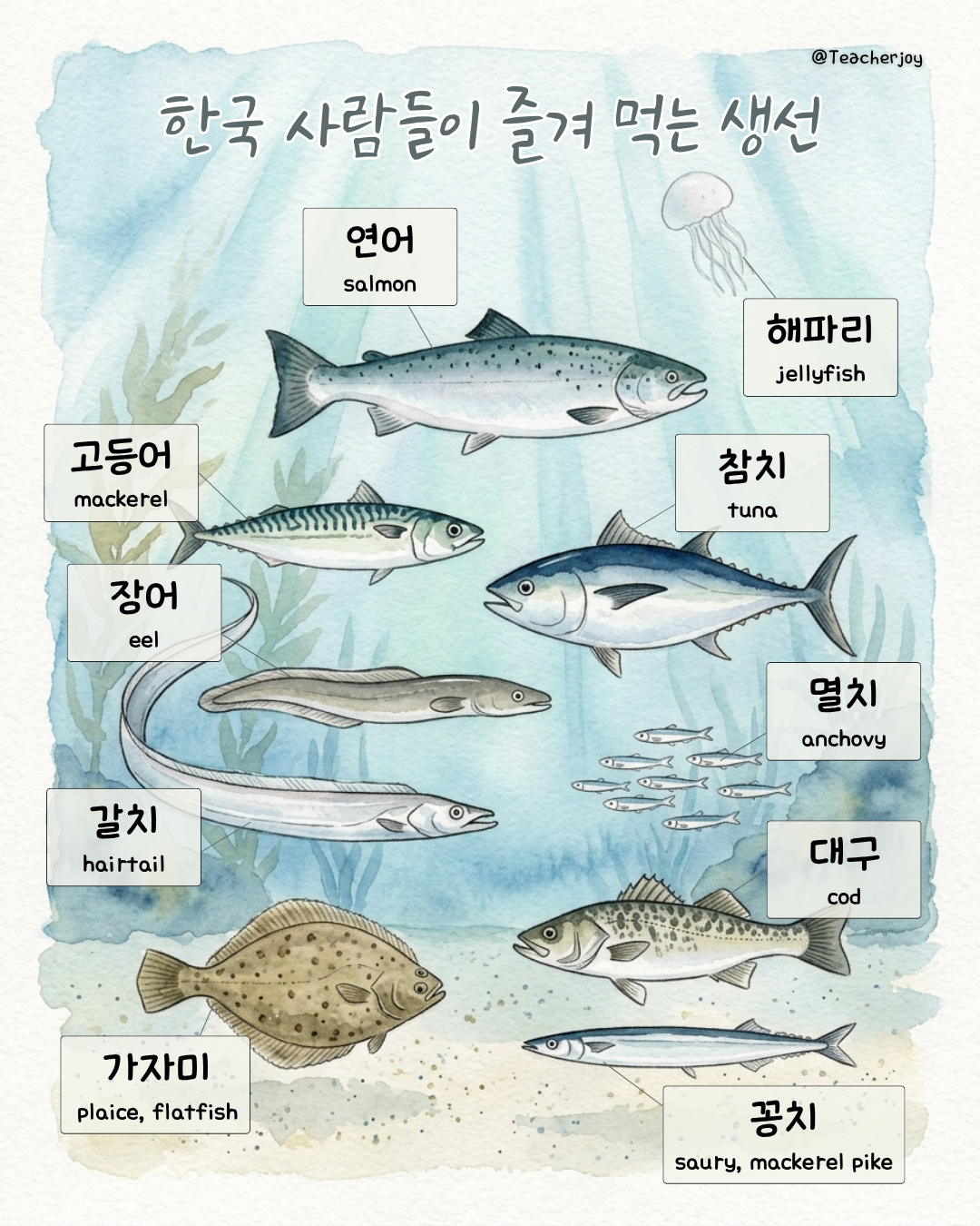 Popular Fish in Korea